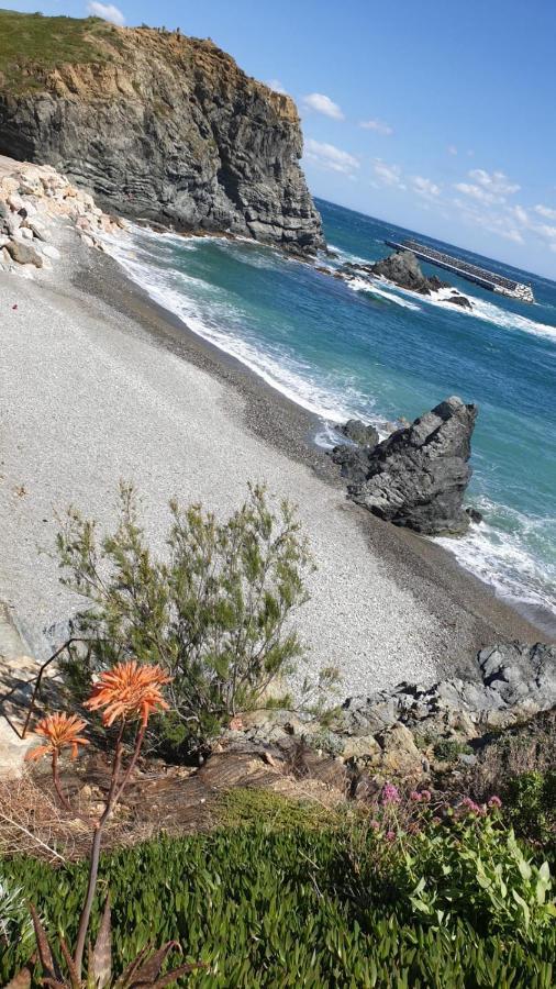 Port De Llanca , La Miranda 아파트 외부 사진